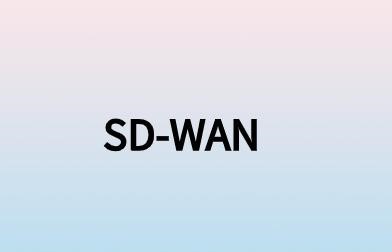 一文秒懂SD-WAN/網絡訪問